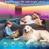 Strips 5m-30m Bluetooth LED-stripverlichting Licht RGB SMD 2835 Flexibele waterdichte tapediode Alexa Telefoon WiFi-besturing DC-adapter