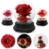 Decorative Flowers Mother Day Gift Dried Eternal Real Rose Home Decor With LED In Glass Dome Mother'S Round Lamp Ornaments