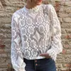 Damesblouses Sexy elegante blouse Dames Herfst Lange mouw Opstaande kraag Uitgehold Doorzichtige kanten trui Kleding Wit