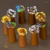 Strings 2m 20 LED Light Cork-shaped Cork Glass Wine Copper Wire Button Battery String For Christmas Wedding Decoration