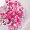 장식용 꽃 1Bag Flower Bouquet PVC Clear Bag Mried Present 액세서리 휴대용 웨딩 파티 선물 PO 배경