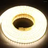 Strips LED Strip Light US 110V Waterproof Tape Diode SMD2835 264Leds/m Lights Super Bright Flexible Ribbon Stripe Fita De