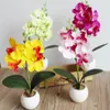 Simulazione di fiori decorativi Fancy quattro orchidee orchidee piante carnose bonsai fiorini che organizzano accessori est