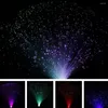 Veilleuses fête de mariage scène étoilée décoration de la maison couleur changeante cadeau Mini chambre Led coloré Festival fibre optique lampe