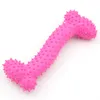 Dog Toys Pet Toy Lovely Rubber Pet-Dog Bone Bite Resistant Teeth Cleaning Chew-Toy 3 Bright Colors SN6813