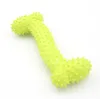 Jouets pour chiens jouet pour animaux de compagnie belle caoutchouc Pet-Dog os résistant aux morsures nettoyage des dents Chew-Toy 3 couleurs vives SN6813