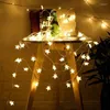 Kerstdecoraties Led Led kleine lichten flitsende touw over de Sky Star Snow Decoration Room Slaapkamer Lay -out Huishouden ST