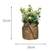 Decorative Flowers Artificial Plants Flower Small Potted Bonsai Green Decor Plantsbirthday Present Home Fake Bags JS22