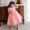 Girl Dresses Pink Pageant Sleeveless Kids Princess Gowns With Pearls Lace Tulle Cake Flower For Wedding Birthday Party