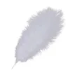 Plumes de penas de aves de avestruz para o casamento de festa de festa decoração festiva decoração jnb16004