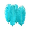 Plumes d'autruche blanches, pour centre de table de mariage, décor d'événement, décoration Festive, JNB16004