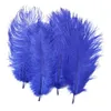 Plumes d'autruche blanches, pour centre de table de mariage, décor d'événement, décoration Festive, JNB16004