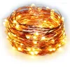 Strängar WRUMAVA 5M 10M 100 LED Copper Wire 3 Battery Operated Christmas Wedding Party Decoration String Fairy Lights