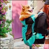 Köpek Taşıyıcı Taşınabilir Pet Outdoor Puppy Shoder Çanta Çanta Seyahat Küçük Köpekler İçin Sırt Çantası Taşıma Cats Chihuah Oteyk