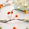 Juldekorationer 20 lysdioder frukt koppartr￥dstr￤ngslampor semester h￤ngande fest f￶r ￥r br￶llop dekor Garland hem x9d4