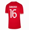 2024 2025 Polen Lewandowski Fußballtrikot