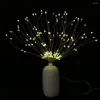 Corde USB Colore della luce regolabile per esterni/luminosità Luci di illuminazione 150 LED Corda di rame per fuochi d'artificio fata con controllo app