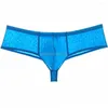 Underpants Men Semi See-through Underwear Male Comfy Pouch Boxer Bokserki Brazilian Bikini Trunks Sexy Shorts