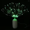 Corde USB Colore della luce regolabile per esterni/luminosità Luci di illuminazione 150 LED Corda di rame per fuochi d'artificio fata con controllo app