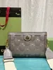 Lady Luxurys Designers Bag Chains Cross Body Hands sacs Hottes Portefeuilles Top Practical Fashion Business Businet Light Hasp Hasp Plain Vil