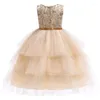 Robes de fille enfants robe de soirée de mariage mode fleur brodée filles robe Tutu élégante princesse de noël 2-9 ans vêtements pour enfants