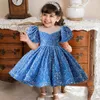 Robes de fille magnifique robe de bébé pour les filles élégantes vêtements de fête d'anniversaire cérémonie d'ouverture bal