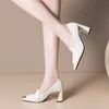 Chaussures habillées chaussures simples printemps et automne nouvelle mode coréenne talons hauts pointus travail épais femmes T220927