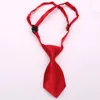 60 pz/lotto Cane Abbigliamento Nuovo Colorato Fatti A Mano Regolabile Pet Cravatte Arco Gatto Cravatte Grooming Forniture PL02