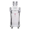 360 Cryolipolysie Cavitation Slant Machine RF Laser Fat Freezing Beauty Salon Machine