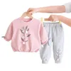 Kläder sätter lzh födda kläder höst spädbarn baby 2 st.