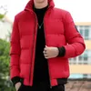 Puffer Jacket Men Stand Collar Casual Streetwear Cotton Padded Thick Warm Coat Lightweight Streetwear Clothes