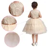 Robes de fille enfants robe de soirée de mariage mode fleur brodée filles robe Tutu élégante princesse de noël 2-9 ans vêtements pour enfants