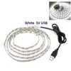 Remsor 2835 5V LED -bandljustempo 5 meter plus 24 key fjärrkontroll Multicolor Lamp String för festdekoration