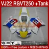 スズキRGVT250のタンクフェアリング22 22 RGV RGVT 250 CC RGVT-250 160NO.70 RGV250 SAPC VJ22 90 91 92 1995 1995 1996 RGV-250 1991 1992 93 94 95 96 OEMフェアリング白い事実