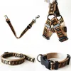 Halsar med lyxig hund Leases Set Designer Dog Leash Seat Belts Pet Collar and Pets Chain For Small Medium Lare Dogs Cat Chihuahua P4517497