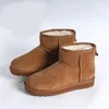 2022 bottes de neige classiques en laine et cuir Mini chaussures courtes en peluche chaudes antidérapantes