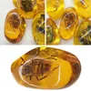 Decorative Figurines Resin Beautiful Scorpion Amber Insects Stone Pendant Necklace Gemstone For Diy Jewellery Crafts W9t9