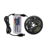 Tiras de luces LED RGB de 5V, 5m, 10m, Control remoto USB, luces SMD, cinta de retroiluminación para TV, decoración de vacaciones, PCB negro de 0,5/1/2/3m