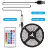 Strips Color RGB Lights Strip 2835 DC5V Backlight For TV/PC USB Powered Led Room With Remote Wall Bedroom Flexible Diode