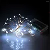 Cordes 3M 30LEDs batterie puissance Mini LED fil de cuivre chaîne fée étincelle lumières fête noël étanche multicolore