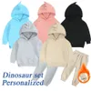 Kledingsets 2-12 jaar oud Winterkonijn Konijn Kids Girls Sets Fleece Kinderen Warme tracksuit kleding Peuter Sportsuit met kappertjes Solid outfits 221007