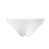 Underpants Sexy Low Rise Bikini Briefs Men Underwear Translucent U Convex Penis Pouch Gay Sleepwear Small