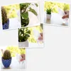 Watering Equipments 250/500ML Mini Plastic Plant Flower Watering Bottle Sprayer Curved mouth can DIY Gardening Transparent for succulent practical