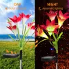 Solar Garden Light