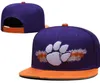 Goede mode Florida Gators Ball Caps NCAA Basketball Snapback Baseball All Team Football Hats Damesheren Flat Hip Hop Cap2782