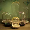 Veilleuses Moderne Verre Dôme Cloche Couverture Décor Ornements De Fleurs Sèches À La Main Artisanat Pot Bois Couleur Base Avec Pieds LED Lumière