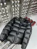 Cirrusliet voor heren naar beneden kap jas Waterbestendige verpakkbare puffer jassen jas Parka windbestendige buitenwarm overjas jas hoodies hiver hoodie 841673