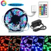 Strips LED -lichten RGB 2835 SMD Flexibele waterdichte tapediode 5m 12V 24K -externe controller met dubbele uitgang 3A voeding