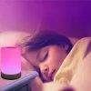 Nattljus LED Touch Control Chargeble Smart Bedside Table Lamp RGB Färgändringslägen för barnbarn