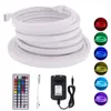 Streifen DC12V LED-Streifen Flex RGB Neonlichtschild 3535 96 LEDs/m Wasserdichtes Band Klebeband Diode Fernbedienung Flexibles Seil